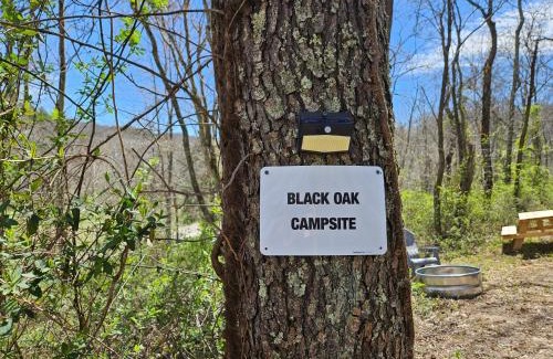Logan Other | Discover Black Oak Campsite: Family and Pet Friendly Retreat