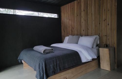 Milton House | Discover the Unique Black Pine Tree House Experience