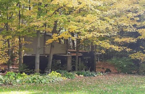 Milton House | Discover the Unique Black Pine Tree House Experience