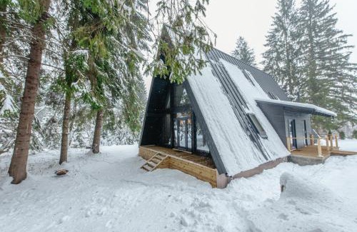 Toplita Ski Chalet | Black Raven Cabin