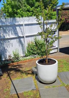 Hay House | Enjoy a Cozy Stay at Black Sheep Cottage Hay - Pet Friendly!