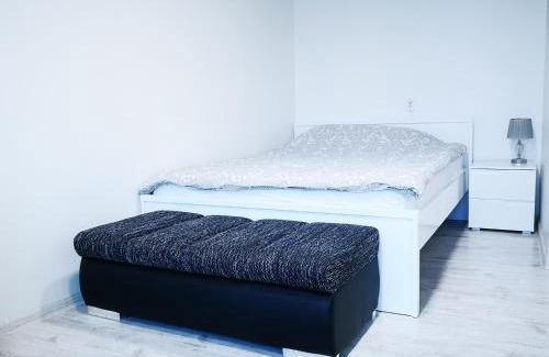 Anyksciai Apartment | Cozy Black & White Studio with Family and Pet Amenities