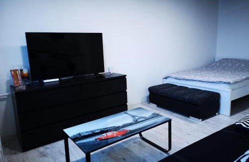 Anyksciai Apartment | Cozy Black & White Studio with Family and Pet Amenities