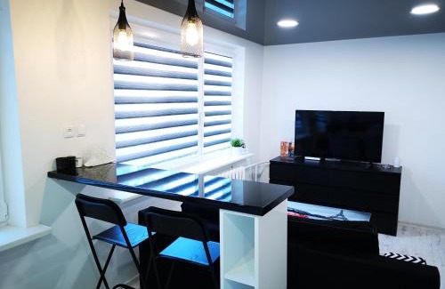 Anyksciai Apartment | Cozy Black & White Studio with Family and Pet Amenities