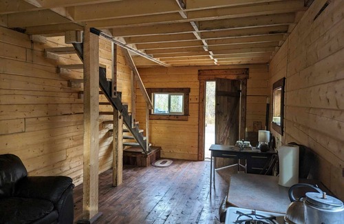McCarthy Cabin | Inviting Blackburn Cabins: Pet-Friendly Retreat with Spa