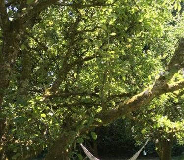 Kilgreaney Other | Discover Blackstairs Shepherds Huts: Top-Rated Retreat with Kitchen