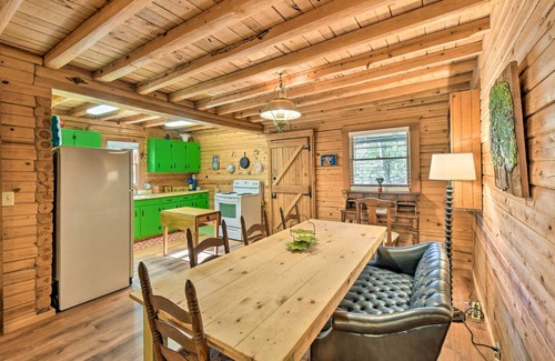 Blairsville Cabin | Pet-Friendly Blairsville Cabin w/ Fire Pit, 10/10 Rating