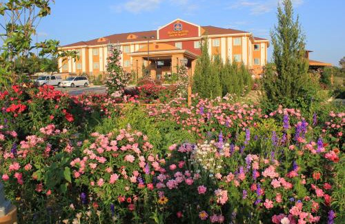 Blanco Hotel | Blanco River Hotel