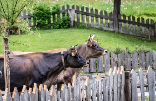 Val di Vizze Apartment | Experience Blasighof: Family-Friendly Stay with Breakfast