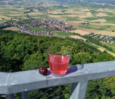 Wutoeschingen Apartment | Discover Blick ins Wutachtal: Family-Friendly Retreat