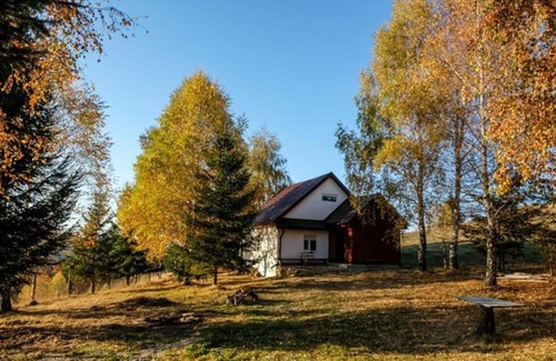 Paltinis House | Blidarei - A Family-Friendly Retreat in Transylvania