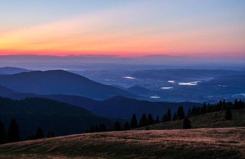 Paltinis House | Blidarei - A Family-Friendly Retreat in Transylvania