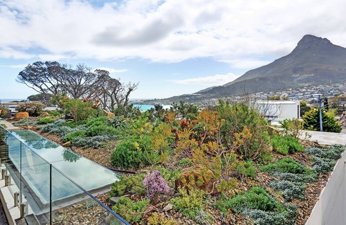 Camps Bay Villa | Indulge at Blinkwater Villa: 5-Star Oceanfront Retreat
