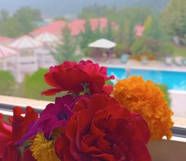 Gabala Hotel | Bliss Inn Hotel Gabala Vandam