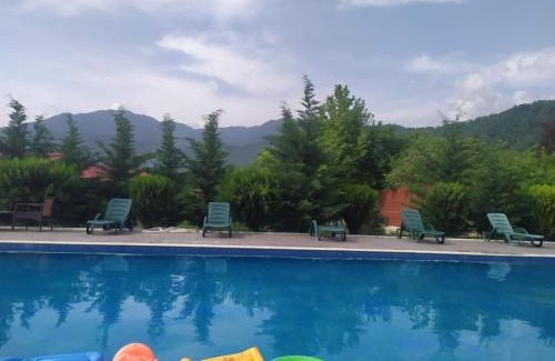 Gabala Hotel | Bliss Inn Hotel Gabala Vandam