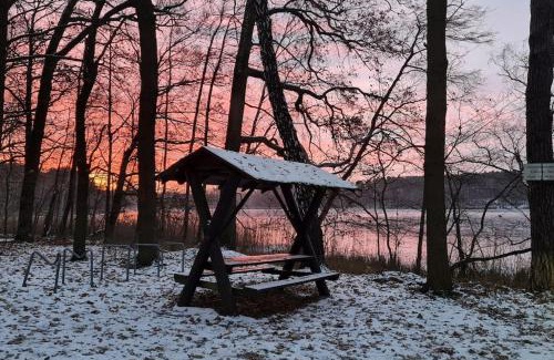 Halbe House | Family-Friendly Blockhaus an der Dahme with 10/10 Reviews