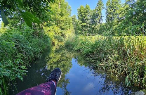 Halbe House | Family-Friendly Blockhaus an der Dahme with 10/10 Reviews