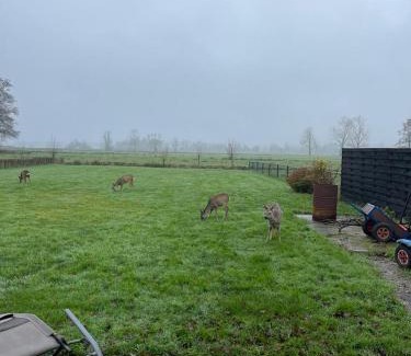 Haren Apartment | Kid-Friendly Blokhut Klein Meerzicht with Great Ratings