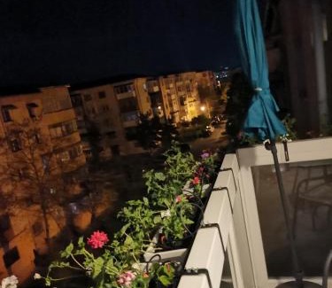 Craiova Apartment | Pet-Friendly Bloom Box Apartments with Top Guest Ratings