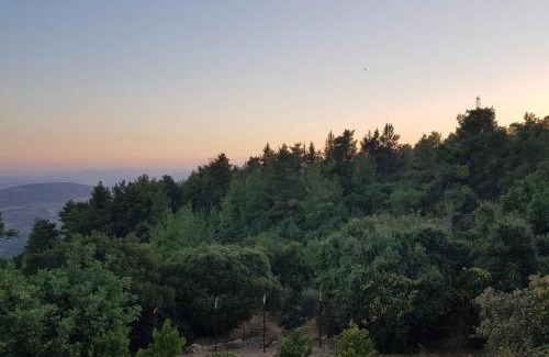 Amirim Cabin | Bloom's Studio: Relax with Pool & Hot Tub Amenities
