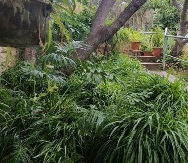Amirim Cabin | Bloom's Studio: Relax with Pool & Hot Tub Amenities