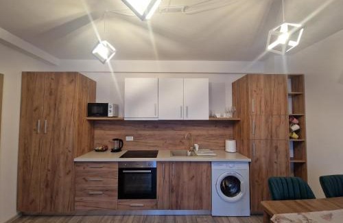 Cordau Apartment | Exceptional Blooming Apartment with Hot Tub in Baile Felix