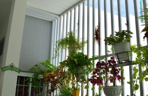 Tuy Hoa House | Blossom Homestay: Oceanfront Retreat with Top Guest Ratings