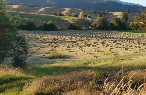 Motueka House | Tranquil Blue Bell Cottage: Guest Rated 10/10 Retreat