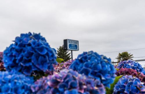 Brookings Hotel | Budget-Friendly Blue Coast Inn & Suites for Families and Pets