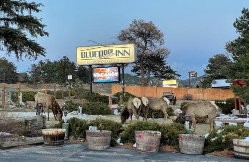 Estes Park Hotel | Welcoming Blue Door Inn: Pet-Friendly Stay with Pool Access