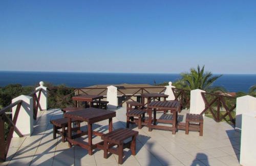 Blue Horizon Bay House | Discover Blue Horizon Bay Guest House with Oceanfront Pool