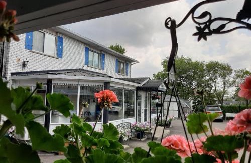 Niagara Falls Hotel | Family-Friendly Blue Moon Motel with Pool and Great Reviews