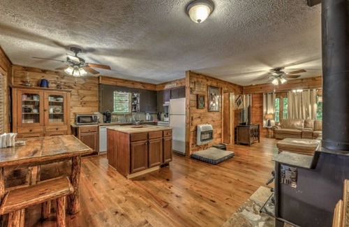 Blue Ridge Cabin | Budget-Friendly Rustic Cabin Getaway with Spa & Pool