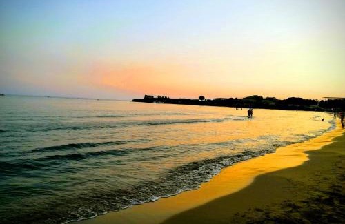 Punta Braccetto Apartment | Pet-Friendly Blue Sea Apartment with High Guest Ratings