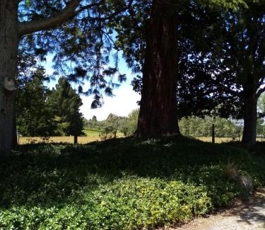 Timaru Bed & Breakfast | Tranquil Blue Stone with Ocean View & Pool Access