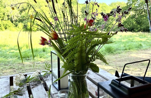 Cullompton RV Rental | Enchanting Camping Retreat in 13 Acres of Meadow