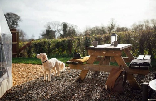Lawrenny Cabin | Elegant Dome Retreat with Private Hot Tub & Pet Friendly