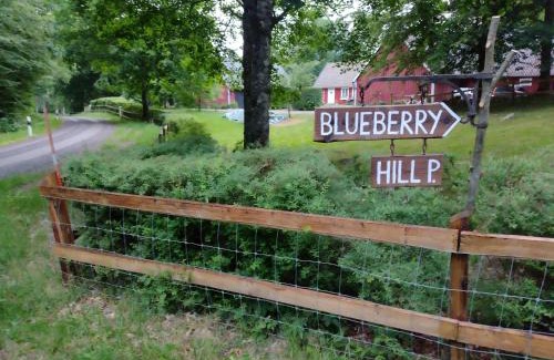 Orkelljunga Municipality House | Family-Friendly Retreat at Blueberry Hill - Guest Rated 9.8