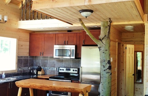 Salmon Arm Ski Chalet | Unique Chalet One in Shuswap: 9.8/10 Guest Rated Escape