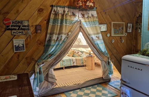 Hot Springs House | Relax at BlueBird Nest 2.0: Hot Tub & Covered Kitchen