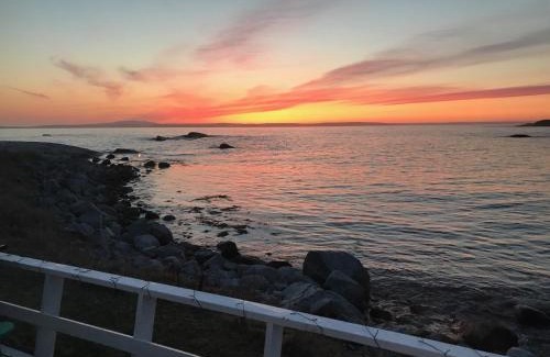 Indian Harbour Ski Chalet | Discover Pet-Friendly Oceanfront Chalets in Canada
