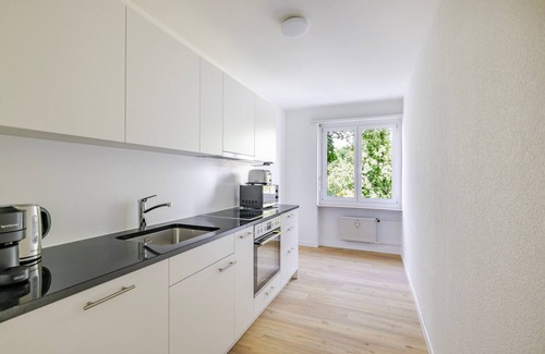 Vorstadte Apartment | Blueground | Basel-Vorstaedte, view, nr Rhine
