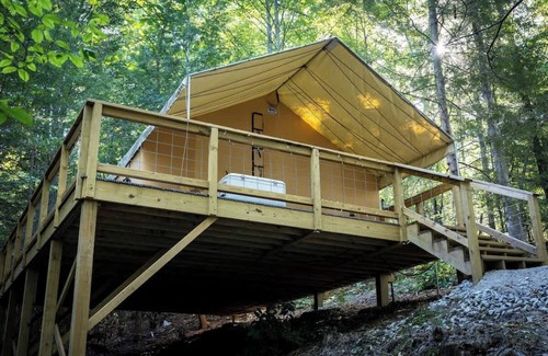 Primrose RV Rental | Explore The Bluejay's Nest: Glamping in the Canopy