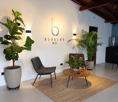 La Castellana Bed & Breakfast | Bluelux Med - B&B