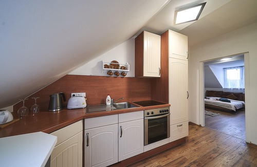 Karlovy Vary Apartment | Discover Bluestars Home: Family-Friendly with Kitchen Amenities