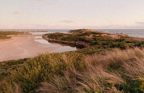Warrnambool House | Bluey Hotel: Pet Friendly & Family-Friendly Retreat