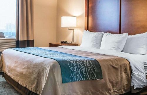 Bluffton Hotel | Bluffton Inn & Suites: Pet-Friendly Retreat with Ocean Views