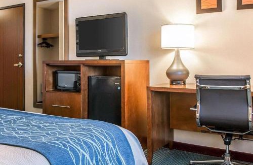 Bluffton Hotel | Bluffton Inn & Suites: Pet-Friendly Retreat with Ocean Views