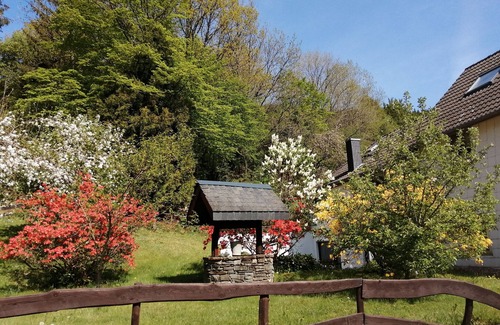 Simmerath Apartment | Exceptional Stay at Blumenhof Hammerwerk with Family Amenities