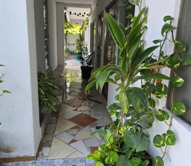 Paraiso Apartment | Blvd2rec